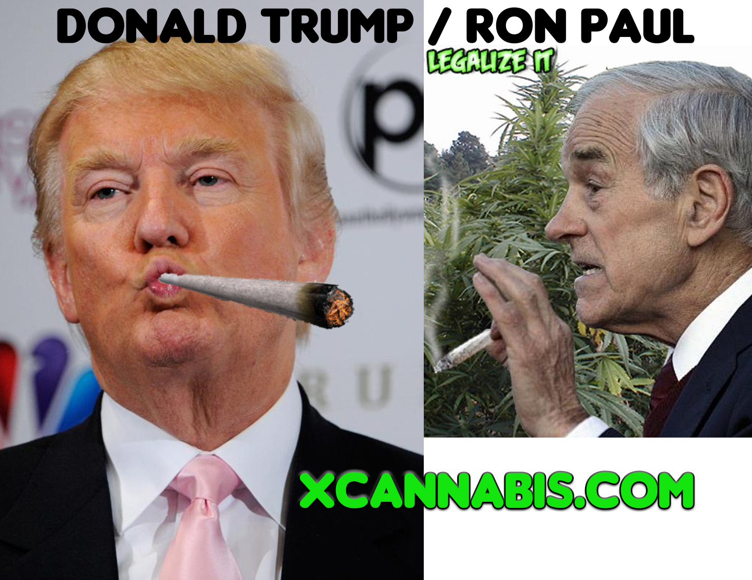 Could there be a Donald Trump and Ron Paul ticket for 2016? featured image