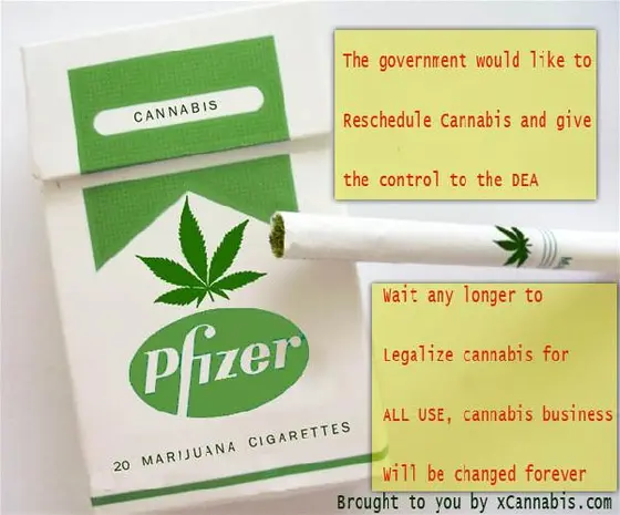 Pfizer Marijuana1