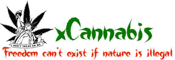 Xcann Bann 4